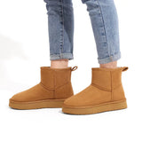 Brissa | Bota Clásica Femenina de Invierno con Forro Peludo Interior