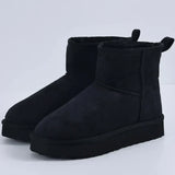 Brissa | Bota Clásica Femenina de Invierno con Forro Peludo Interior